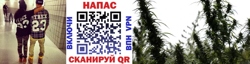Купить наркотики цена Воркута COCAIN OMG СОЛЬ Марихуана МЕФ