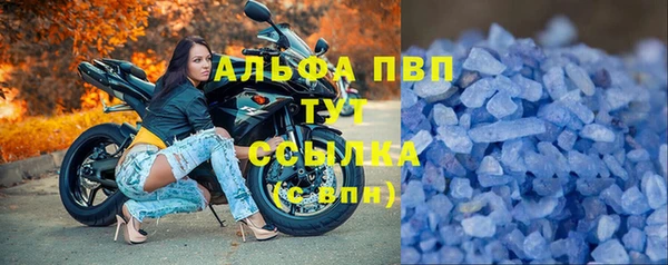 прущие крисы Балахна