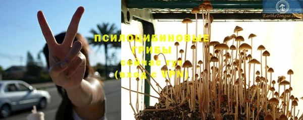 кокаин Белокуриха