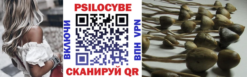 Псилоцибиновые грибы Cubensis  мориарти официальный сайт  Воркута  где можно купить  